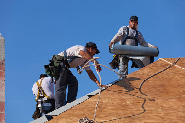 Best Roof Repair Services  in Wilderness Rim, WA